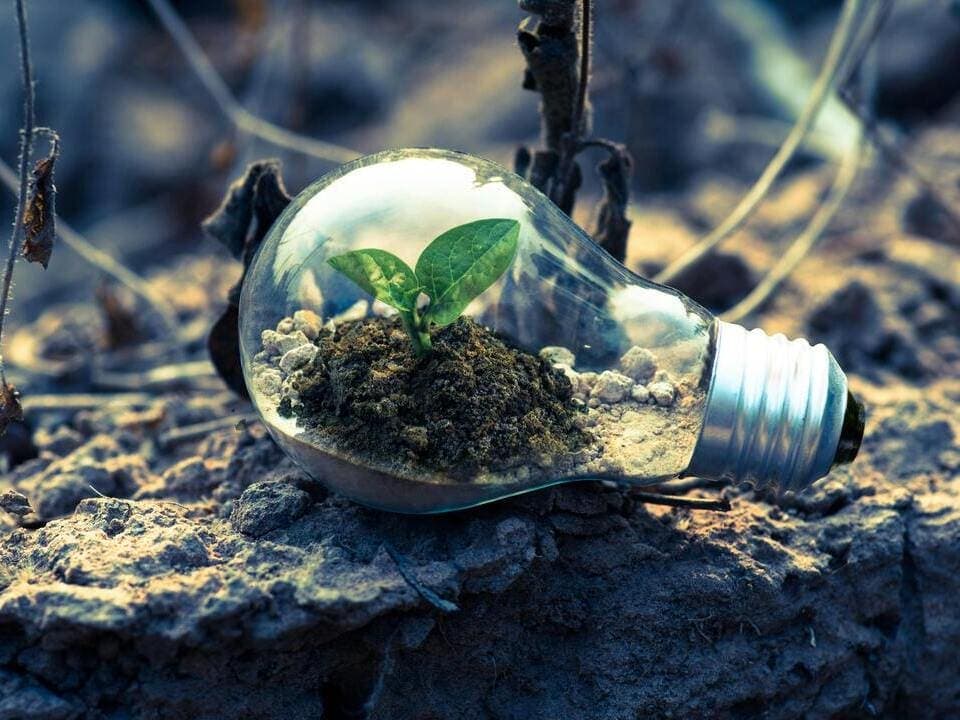 Et si l’on apprenait autrement ?